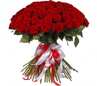 51 элитная красная роза 70 см